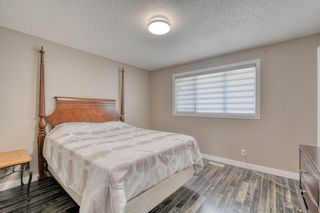 Photo 21: 79 Rundlefield Close NE in Calgary: Rundle Detached for sale : MLS®# A1040501