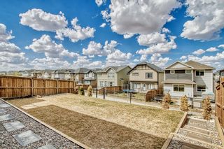 Photo 44: 315 Hillcrest Heights SW: Airdrie Detached for sale : MLS®# A2042554