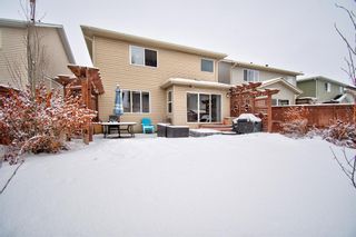Photo 31: 270 Chapalina Terrace SE in Calgary: Chaparral Detached for sale : MLS®# A2021113