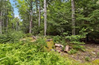 Photo 29: Lot 2 Smugglers Cove Road in Labelle: 406-Queens County Vacant Land for sale (South Shore)  : MLS®# 202317335