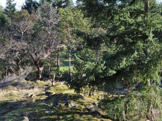 Photo 12: LOT 3 BROMLEY PLACE in NANOOSE BAY: PQ Fairwinds Land for sale (Parksville/Qualicum)  : MLS®# 802119