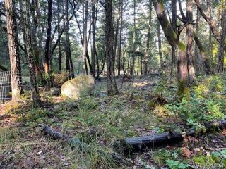 Photo 51: 360 Mill Rd in Thetis Island: Isl Thetis Island House for sale (Islands)  : MLS®# 920464