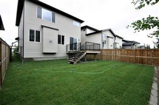 Photo 33: 57 Evansview Manor NW in Calgary: Evanston Detached for sale : MLS®# A2013921