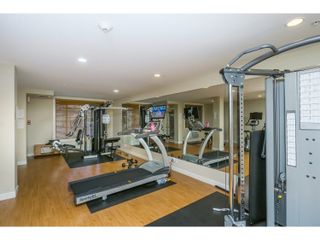 Photo 14: 527 8288 207A Street in Langley: Willoughby Heights Condo for sale in "Yorkson Creek Walnut Ridge II" : MLS®# R2051394