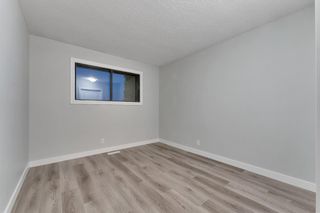 Photo 16: 6808 Temple Drive NE in Calgary: Temple Detached for sale : MLS®# A1258664