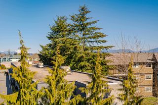 Photo 29: 412 31831 PEARDONVILLE Road in Abbotsford: Abbotsford West Condo for sale in "West Point Villa" : MLS®# R2762474