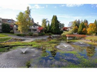 Photo 19: 31 4001 OLD CLAYBURN Road in Abbotsford: Abbotsford East Townhouse for sale in "CEDAR SPRINGS" : MLS®# F1415341
