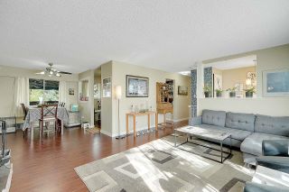Photo 9: 15113 PHEASANT Drive in Surrey: Bolivar Heights House for sale in "BIRDLAND" (North Surrey)  : MLS®# R2872687