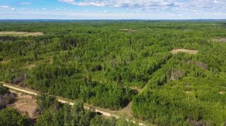 Photo 5: RR51 Twp Rd 550: Rural Lac Ste. Anne County Rural Land/Vacant Lot for sale : MLS®# E4266697