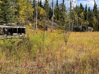 Photo 69: DL 1135 SPRUCE CREEK: Atlin House for sale (Iskut to Atlin)  : MLS®# R2813376