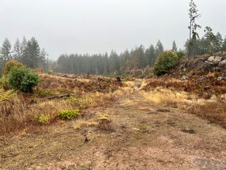 Photo 2: Lt B Whiting Way in Nanaimo: Na Cedar Unimproved Land for sale : MLS®# 918797