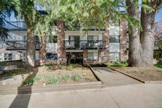 Main Photo: 207 2330 MAPLE Street in Vancouver: Kitsilano Condo for sale in "Maple Gardens" (Vancouver West)  : MLS®# R2873817