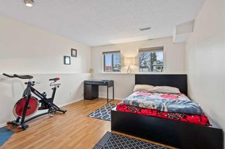 Photo 21: 3523 60 Street NE in Calgary: Temple Detached for sale : MLS®# A2122306