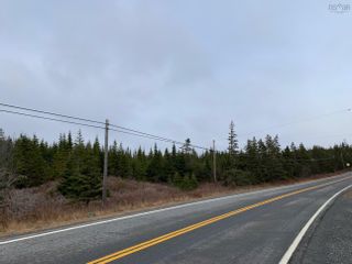 Photo 7: 18 Gold Mine Road in Tangier: 35-Halifax County East Vacant Land for sale (Halifax-Dartmouth)  : MLS®# 202227412