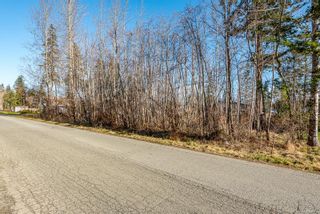 Photo 3: LT46 Leeming Rd in Campbell River: CR Campbell River South Land for sale : MLS®# 867161