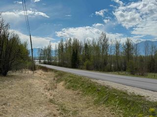 Photo 17: 2880 MOUNTAIN VIEW Road in McBride: McBride - Town Land for sale (Robson Valley)  : MLS®# R2879829