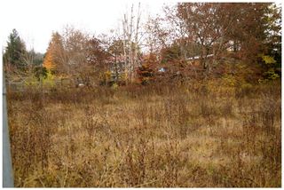 Photo 12: 480 Southeast 30 Street in Salmon Arm: SE Vacant Land for sale : MLS®# 10171761
