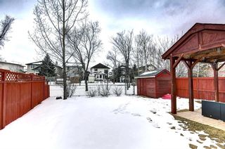 Photo 45: 116 Bridlewood Circle SW in Calgary: Bridlewood Detached for sale : MLS®# A2118131