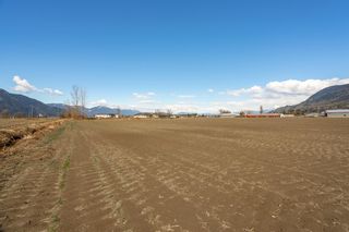 Photo 33: 40650 NO. 5 Road in Abbotsford: Sumas Prairie Agri-Business for sale : MLS®# C8050431