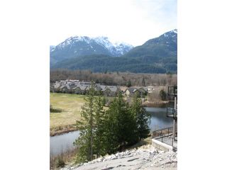 Photo 4: 41165 ROCKRIDGE Place in Squamish: Tantalus Land for sale : MLS®# V998251