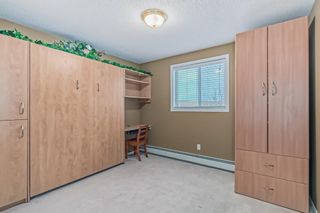 Photo 32: 246 165 Manora Place NE in Calgary: Marlborough Park Apartment for sale : MLS®# A2021263