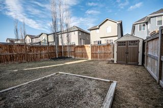 Photo 35: 36 Thoroughbred Boulevard: Cochrane Detached for sale : MLS®# A1211127