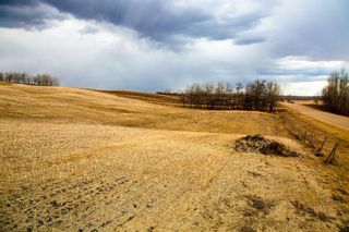 Photo 6: On Range Road 244: Rural Red Deer County Residential Land for sale : MLS®# A2034530