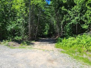 Photo 14: Lot 62 Terrace Place, in Blind Bay: Vacant Land for sale : MLS®# 10253125