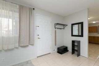 Photo 20: 3340 41 Street SW in Calgary: Glenbrook Full Duplex for sale : MLS®# A2019450