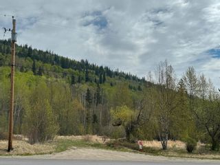 Photo 11: 2880 MOUNTAIN VIEW Road in McBride: McBride - Town Land for sale (Robson Valley)  : MLS®# R2879829