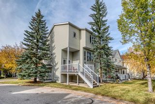 Photo 31: 192 Inglewood Cove SE in Calgary: Inglewood Row/Townhouse for sale : MLS®# A1039017