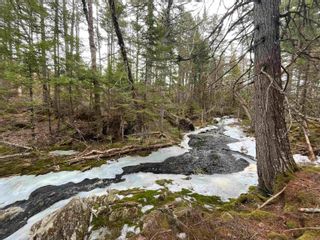Photo 7: Lot 51 Meek Arm Trail in East Uniacke: 105-East Hants/Colchester West Vacant Land for sale (Halifax-Dartmouth)  : MLS®# 202404877