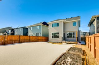 Photo 32: 28 Cranbrook Circle SE in Calgary: Cranston Detached for sale : MLS®# A2034856