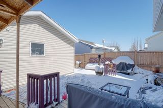 Photo 29: 83 Coventry View NE in Calgary: Coventry Hills Detached for sale : MLS®# A1208569