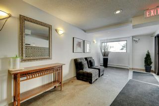 Photo 18: 109 835 19 Avenue SW in Calgary: Lower Mount Royal Apartment for sale : MLS®# A2053812