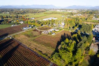 Photo 17: 3155 BRADNER Road in Abbotsford: Aberdeen Agri-Business for sale : MLS®# C8055154