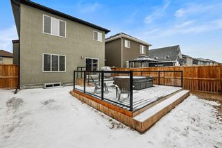 Photo 45: 444 Legacy Boulevard SE in Calgary: Legacy Detached for sale : MLS®# A1183952