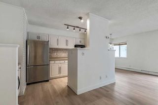 Photo 7: 202 732 57 Avenue SW in Calgary: Windsor Park Apartment for sale : MLS®# A2066790