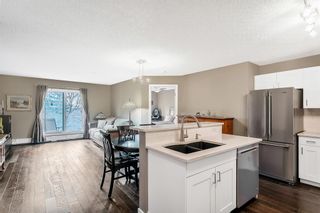 Photo 34: 305 290 Shawville Way SE in Calgary: Shawnessy Apartment for sale : MLS®# A2048768