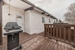 Photo 27: 223 Pinemont Road NE in Calgary: Pineridge Semi Detached (Half Duplex) for sale : MLS®# A2120307