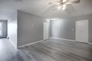Photo 11: 406 333 Garry Crescent NE in Calgary: Greenview Apartment for sale : MLS®# A2024776