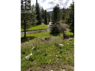 Photo 7: Legal SCUITTO LAKE in Kamloops: Vacant Land for sale : MLS®# 176532