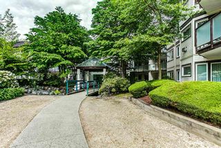 Photo 18: 218 7139 18TH Avenue in Burnaby: Edmonds BE Condo for sale (Burnaby East)  : MLS®# R2065257