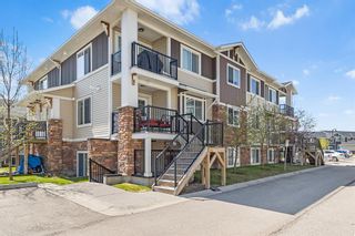 Photo 1: 179 300 Marina Drive: Chestermere Apartment for sale : MLS®# A2045595