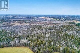 Photo 16: 19 LUCAS LANE in Stittsville: Vacant Land for sale : MLS®# 1371128