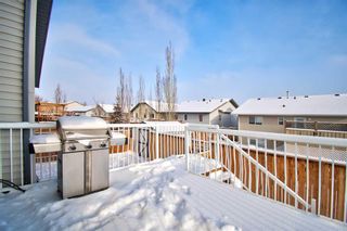 Photo 47: 36 Willowbrook Drive NW: Airdrie Detached for sale : MLS®# A2103171