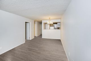 Photo 1: 215 2204 1 Street SW in Calgary: Mission Apartment for sale : MLS®# A1092168