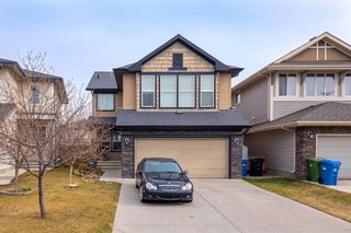Main Photo: 96 Walden Rise SE in Calgary: Walden Detached for sale : MLS®# A2015971