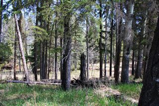 Photo 21: 31518 Hwy 22: Rural Mountain View County Residential Land for sale : MLS®# A1218290