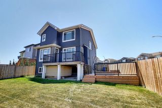 Photo 47: 163 Nolancrest Rise NW in Calgary: Nolan Hill Detached for sale : MLS®# A1125952